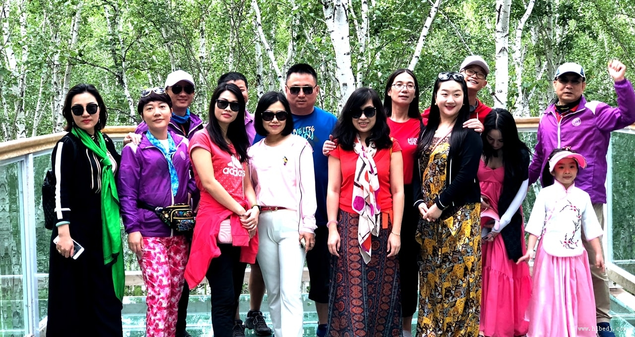 呼倫貝爾白樺林